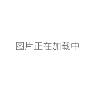 海門其林貝爾側擺搖床（數顯、定時、調速）QB-212
